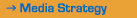 Media Strategy